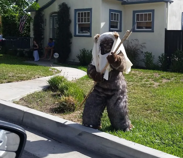 This Guy Was Just Standing On The Sidewalk Waving His Spear Around At Cars