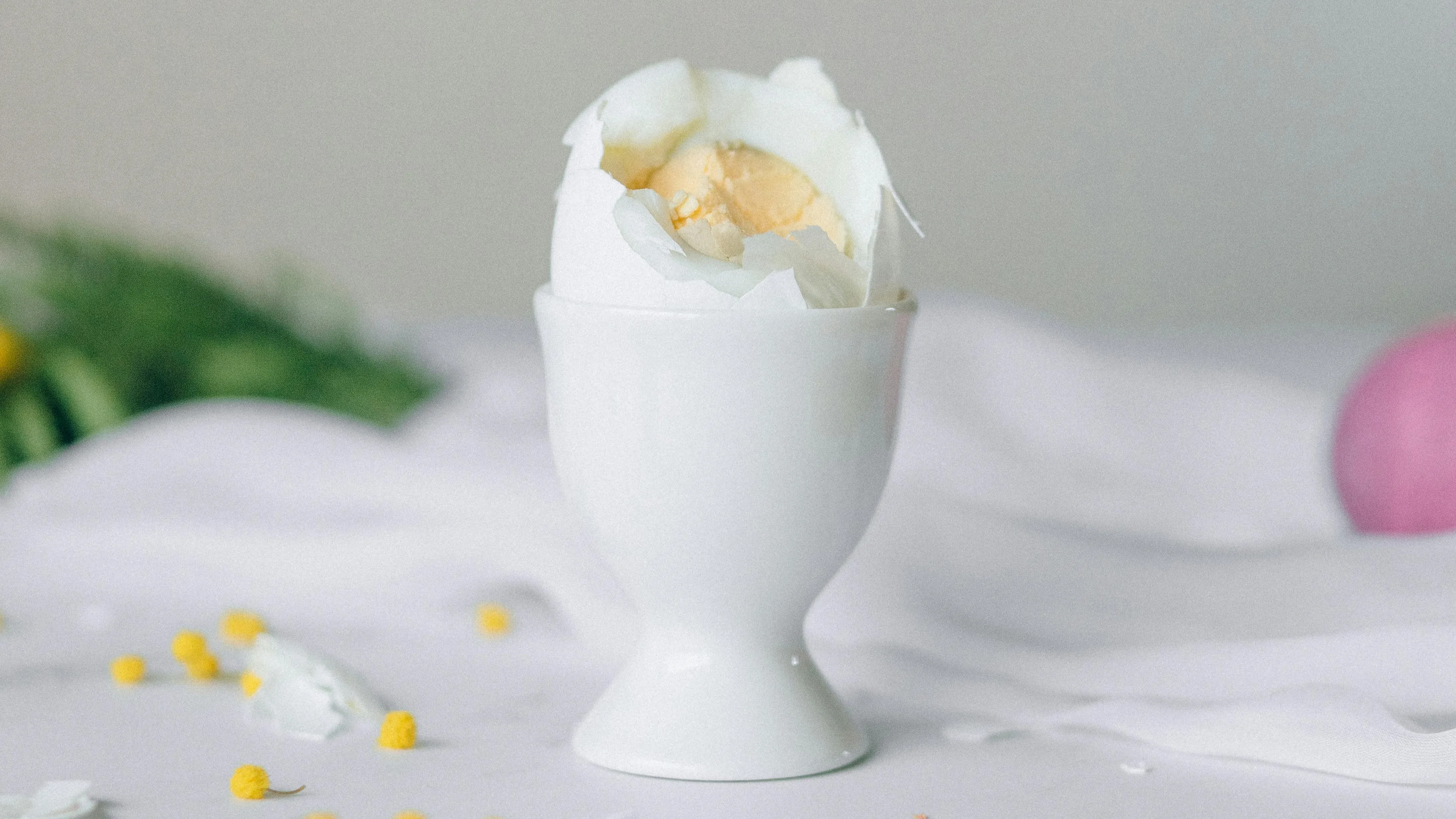 Partially peeled hard-boiled egg in a white egg cup with yellow flower petals scattered on a white cloth.