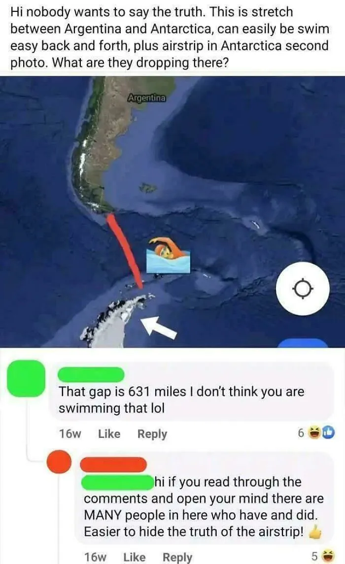 I Say Let Them Do The Swim!