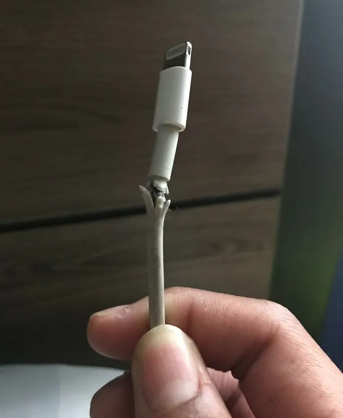Had Guests Over And One Of Them Switched Their Broken Charger For Mine