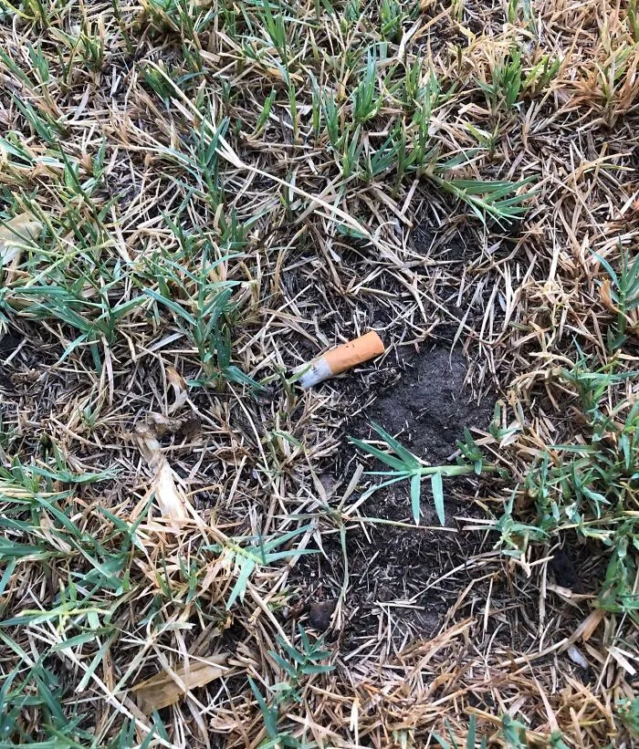 Had A Pool Party And Only One Of The Guests Smokes