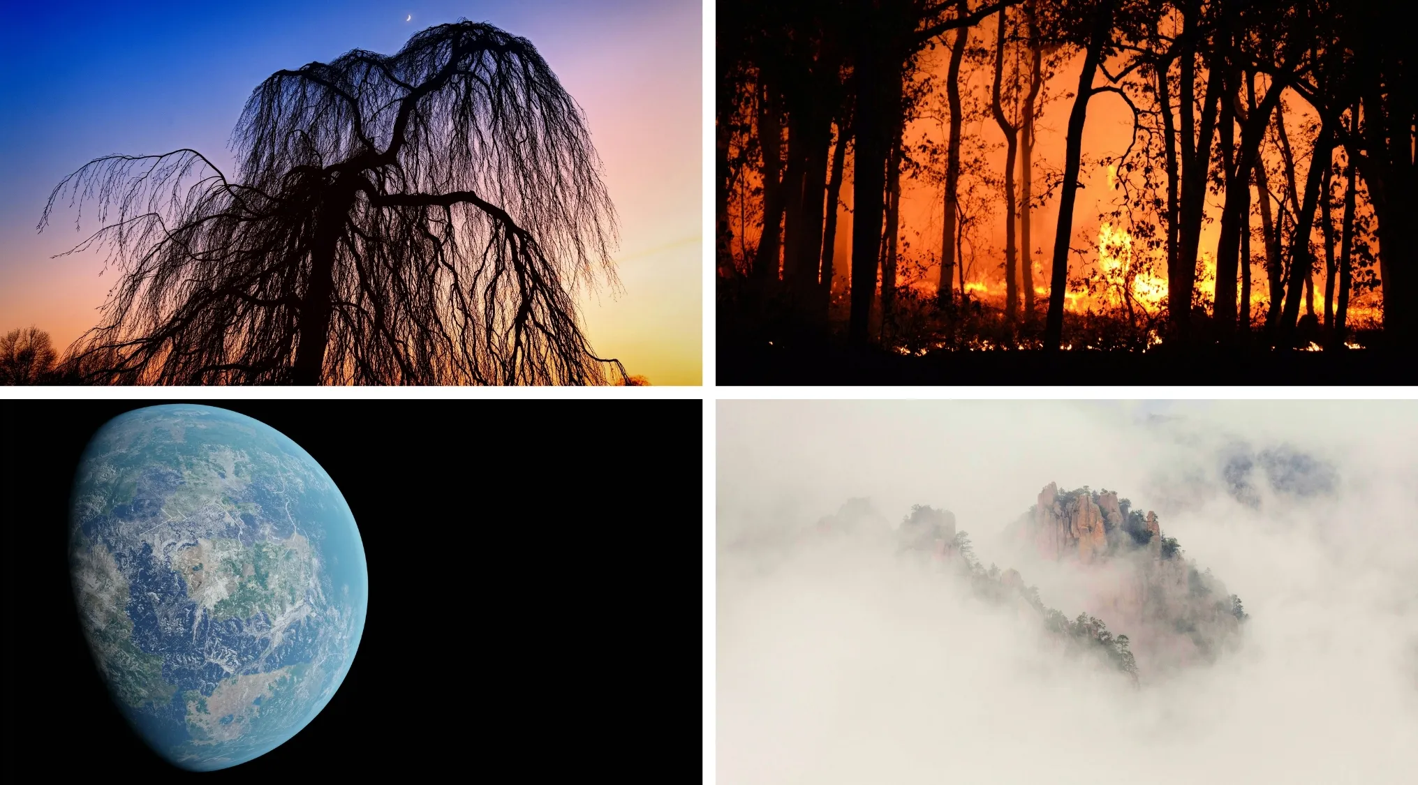 Collage of nature scenes including a silhouetted tree, forest fire, Earth from space, and misty mountains for movies and TV shows.