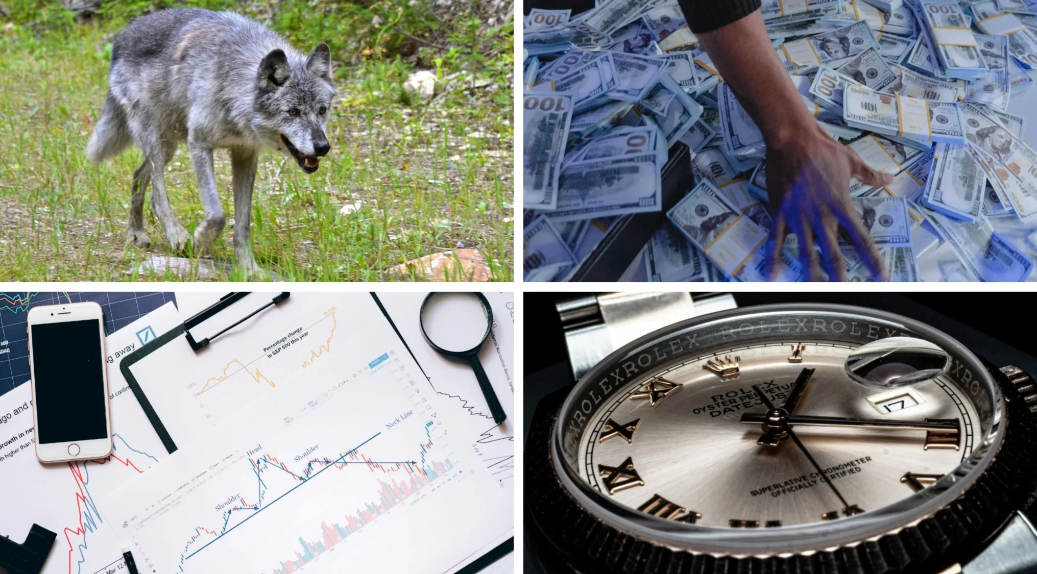 Collage of images including a wolf, stacks of cash, stock market charts, and a luxury watch as movies and TV show hints.