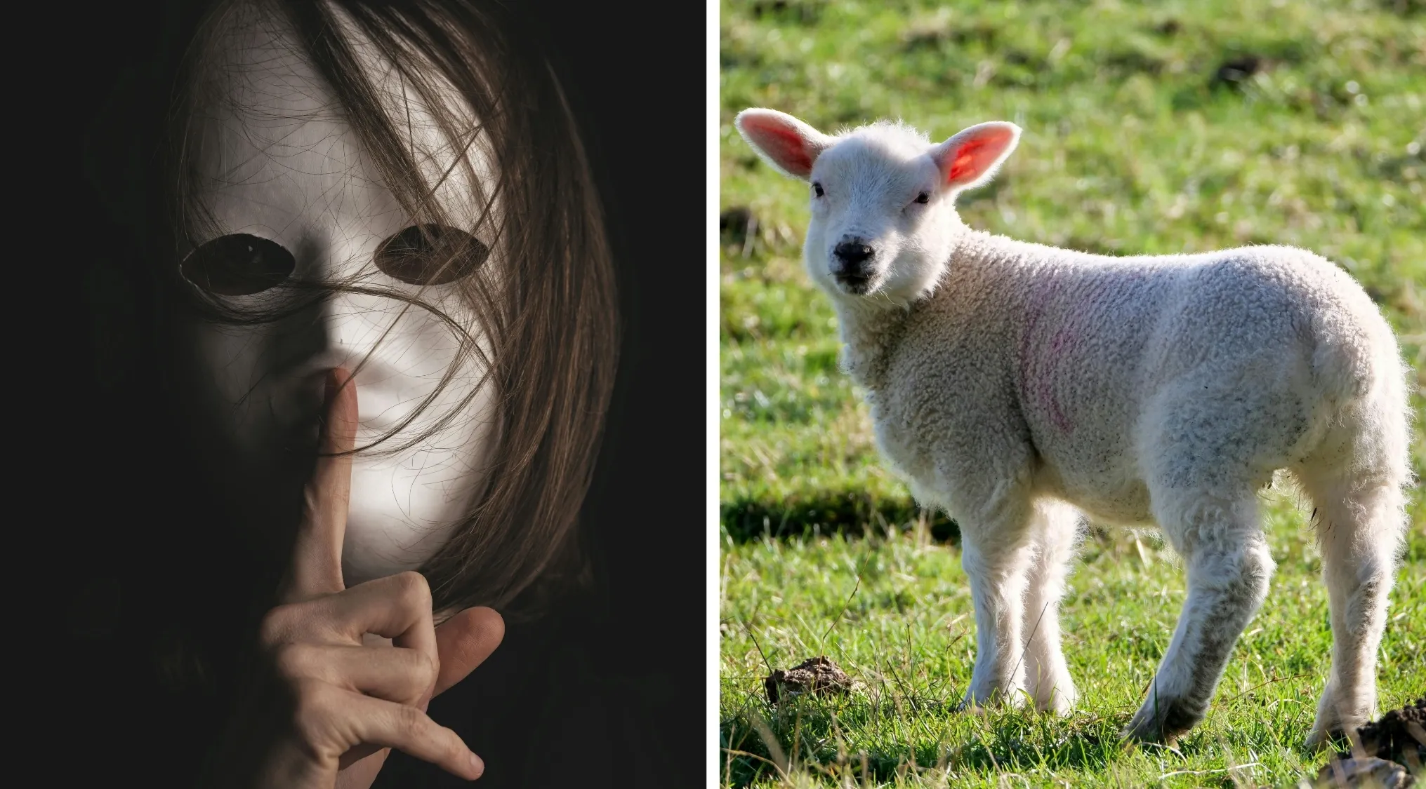 Person in a creepy mask with finger to lips and a lamb standing on grass as movies and TV shows visual hints.