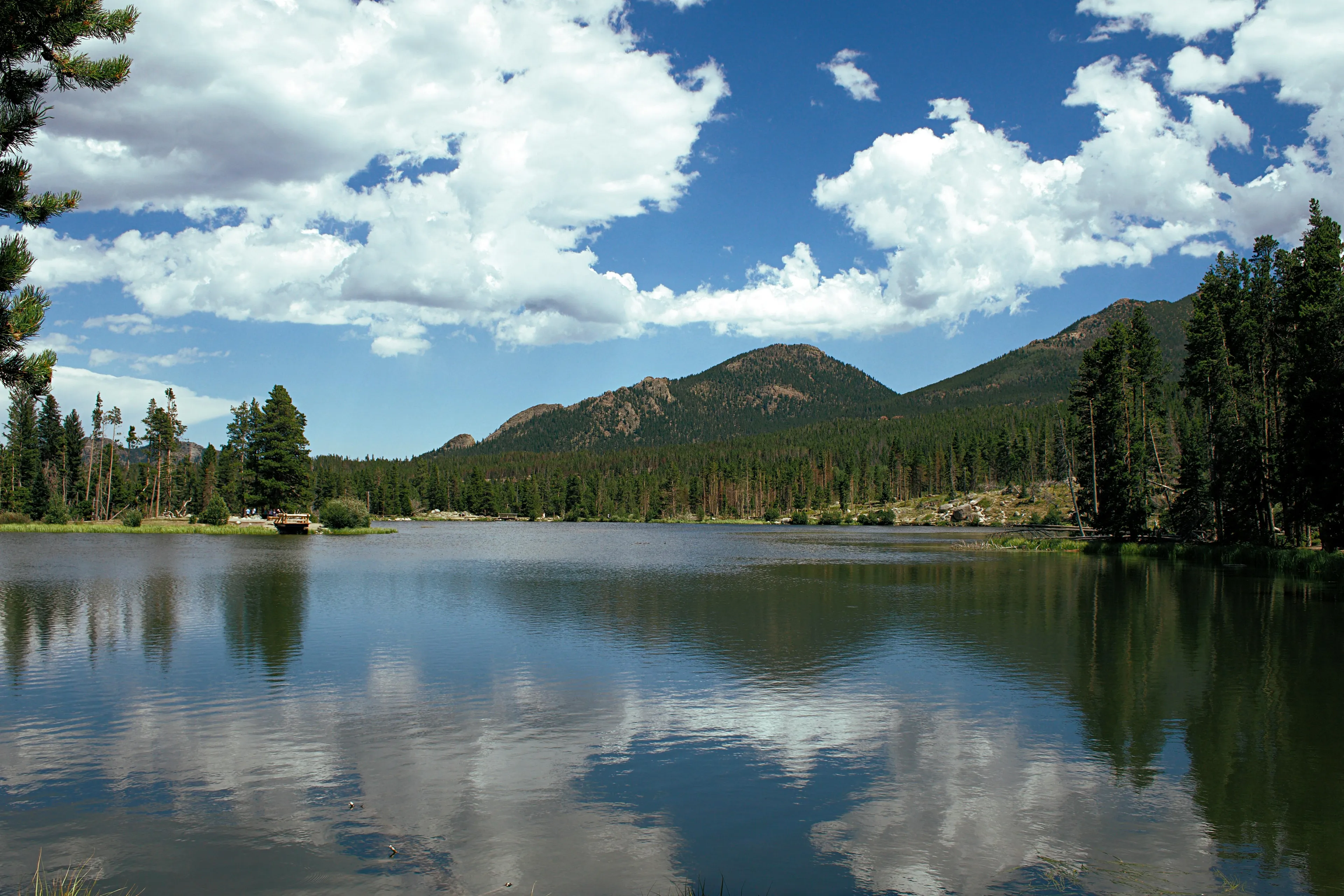 Scenic lake with mountains and forest reflecting on water illustrating the impact of invasive species on native species decline.