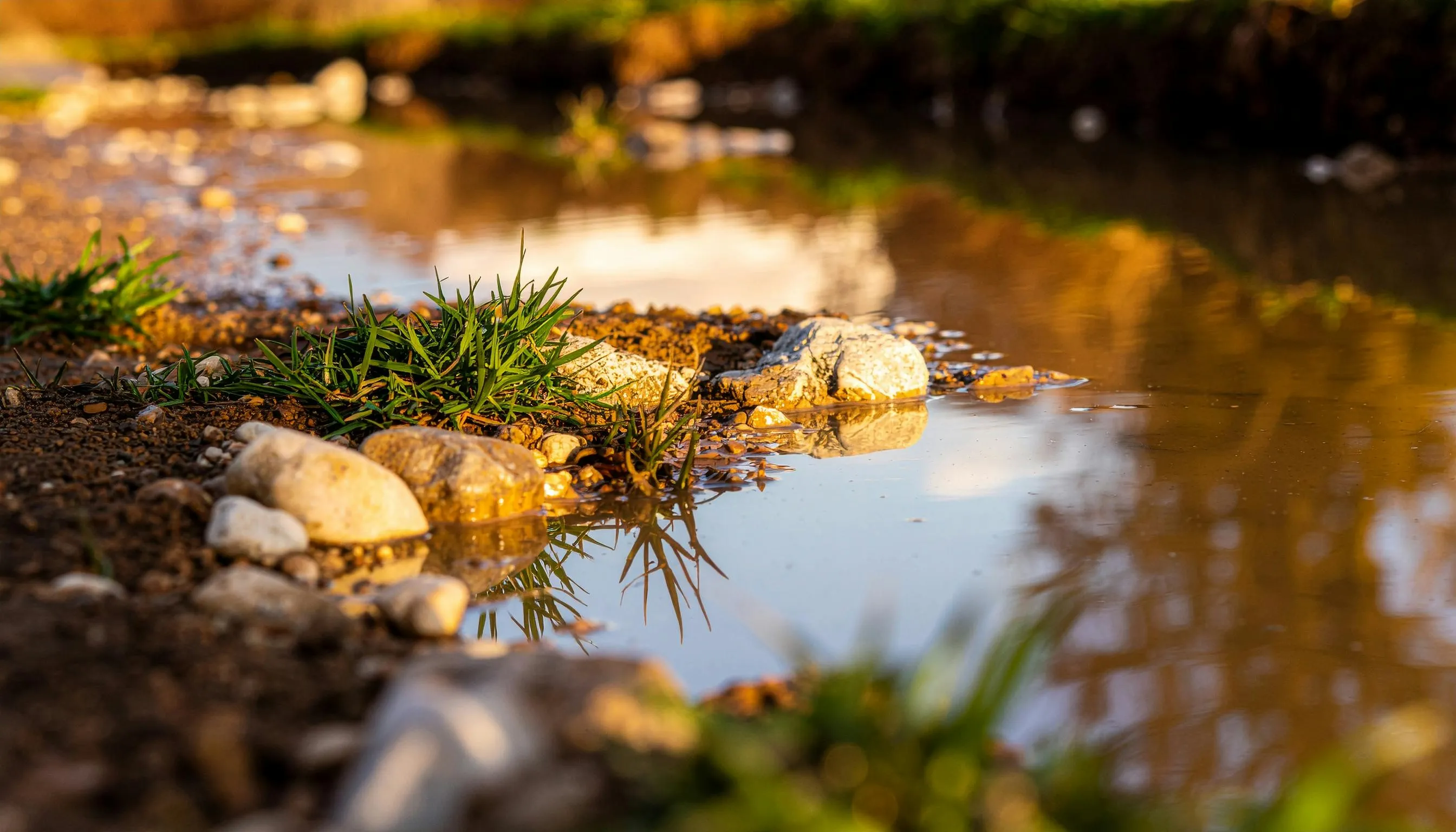 Close-up of a small stream with rocks and grass, illustrating the process responsible for replenishing groundwater.