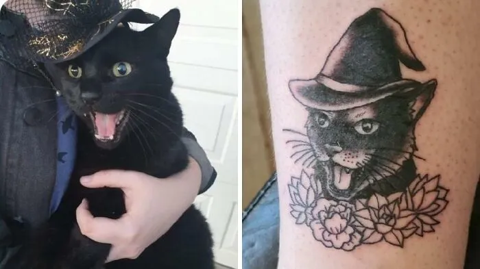 I Lost My Old Boy Sebastian Last Month. I Had My First Tattoo In His Honour. Art By Storm At Black Dagger Tattoo In Qld, Australia