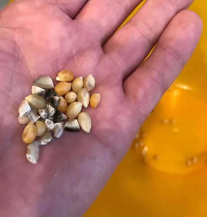 The Time My Brother Put The Dog’s Toenail Clippings In The Bottom Of A Popcorn Bowl “As A Joke”