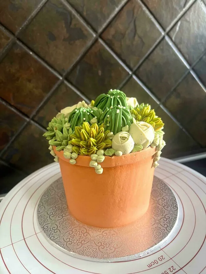 A Little Buttercream Pot Plant 🪴