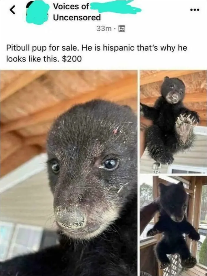 "He's Hispanic"