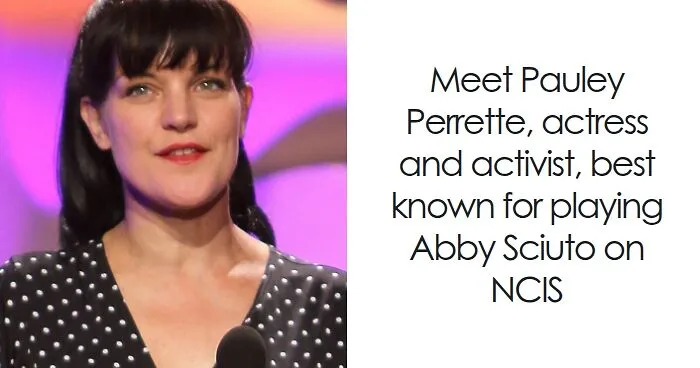 Pauley Perrette: Bio And Career Highlights