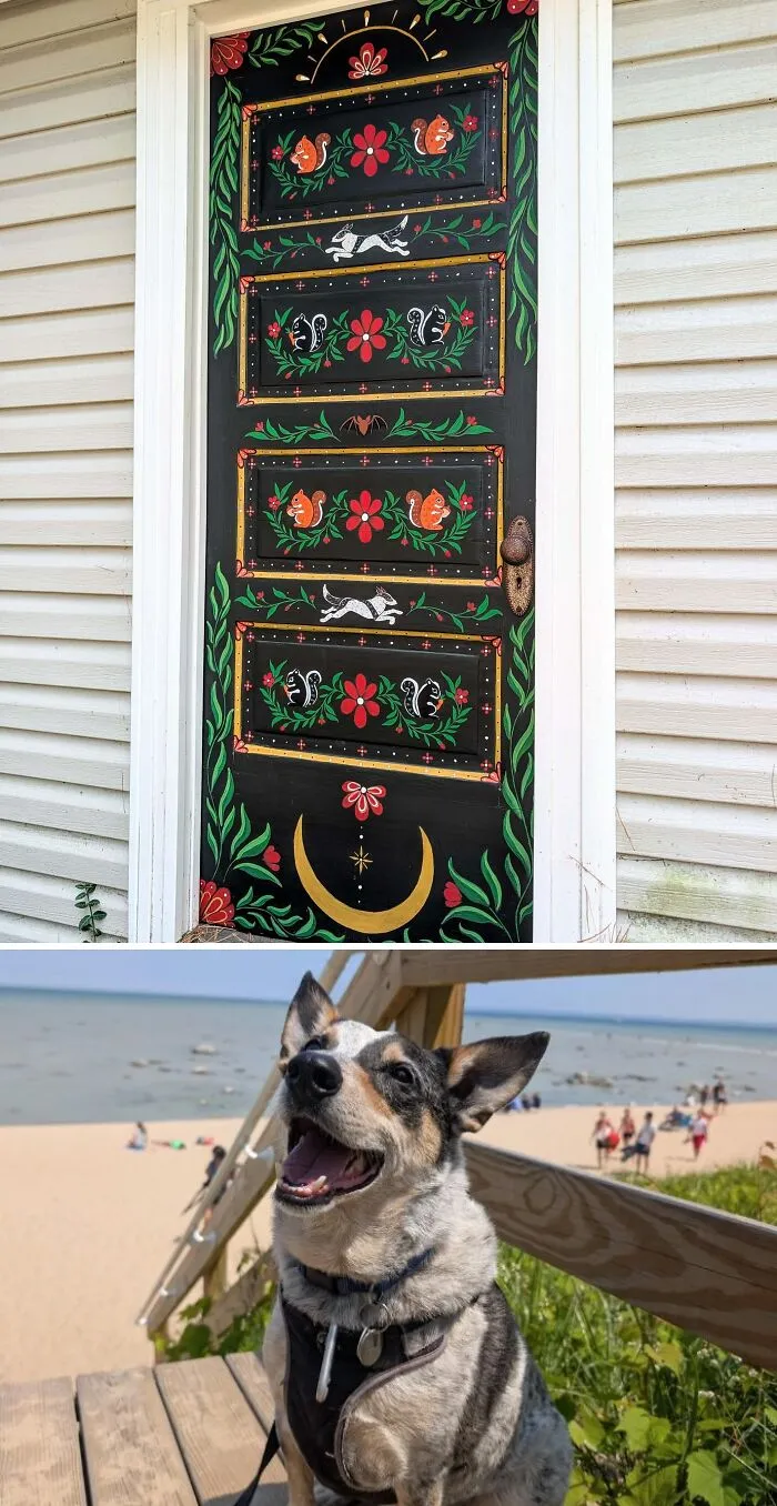 La puerta trasera ahora cuenta una historia sobre nuestro perro y la fauna del vecindario