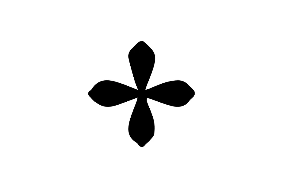 Black abstract shape with four rounded petal-like extensions, illustrating a sequence rule puzzle piece.
