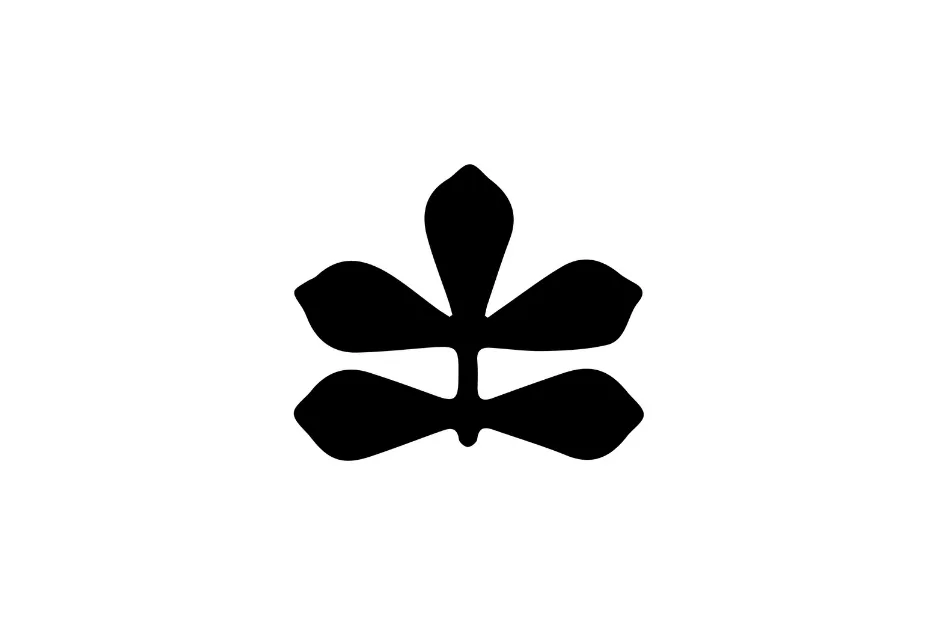 Black abstract shape resembling a symmetrical sequence puzzle piece fitting the sequence rule concept.