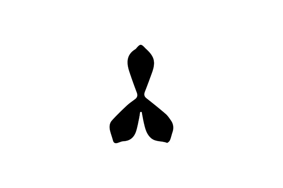 Black symmetrical abstract shape resembling a propeller piece used to identify the sequence rule puzzle.