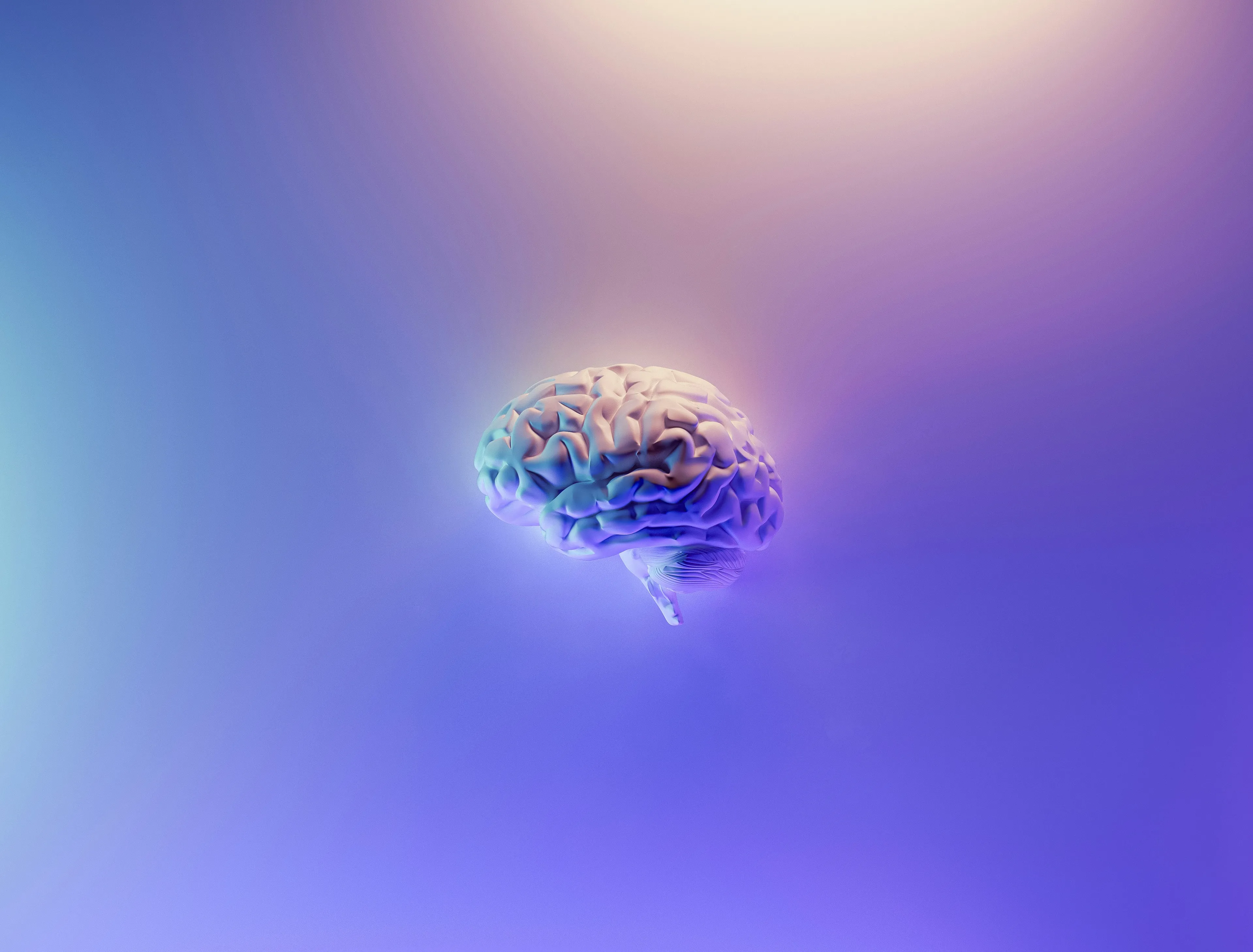 3D illustration of a human brain highlighting the part primarily responsible for balance and coordination.