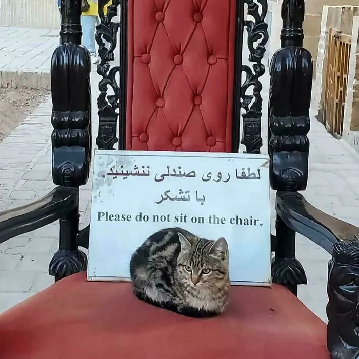 Love How They Just Don't Care