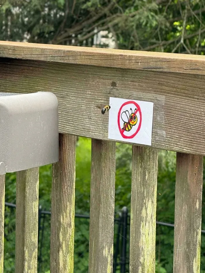 Rejected