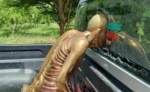 “What Could Go Wrong”: 51 Fails So Bad They’re Actually Kind Of Impressive (New Pics)