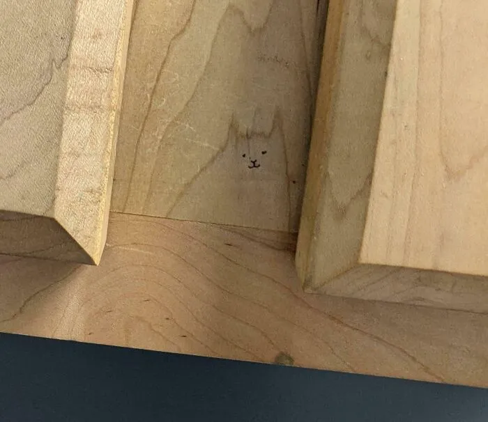 Este gato en los baños del veterinario