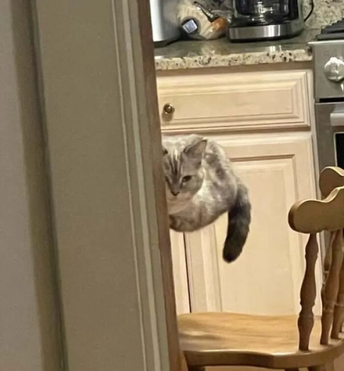 She Can Fly