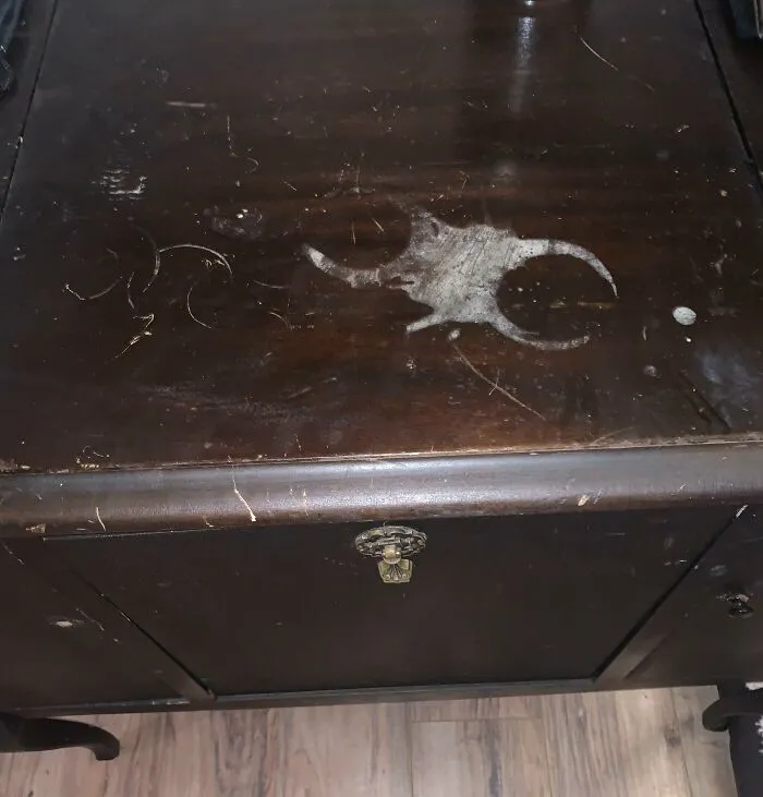 Our Friend Decided To Pour Drinks On My 100+ Year-Old Record Player