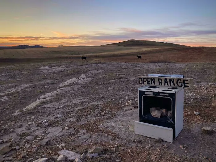 Estufa vieja en campo abierto al atardecer con vacas, representando la vida cotidiana en distintos estados de EEUU.