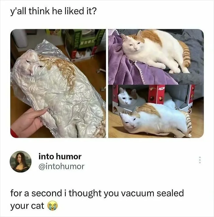 57 Memes So Funny And Relatable You’ll Just Want To Share Them With Your Friends