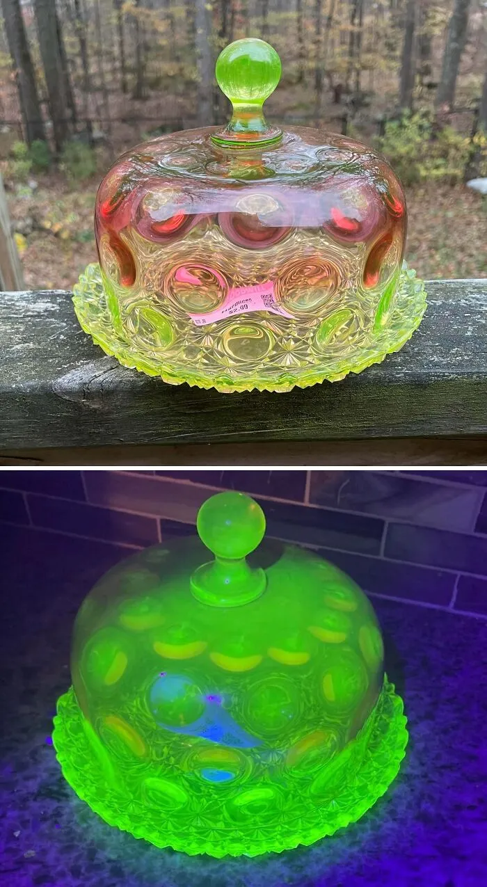 I Can’t Believe I Picked This Up At Goodwill Last Week!