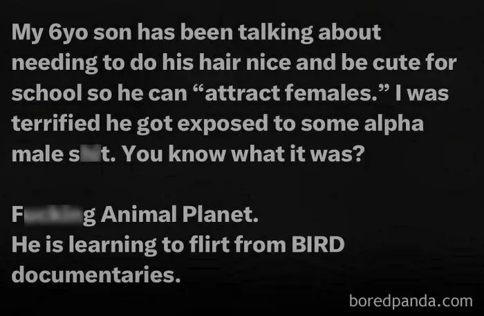 Maybe They're All Just Watching Bird Documentaries