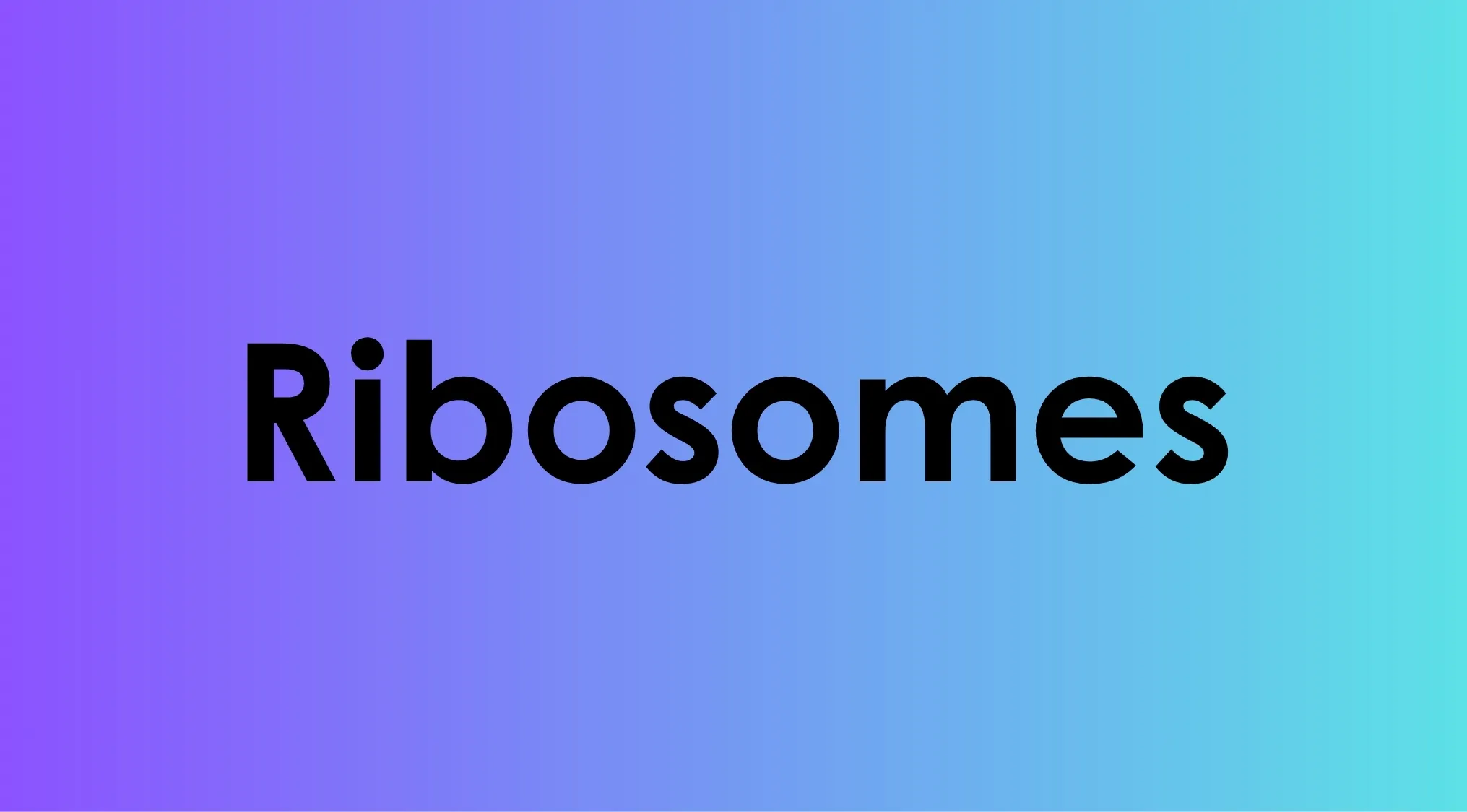 Ribosomes text on a blue to purple gradient background representing biology vocabulary challenge cell structure function