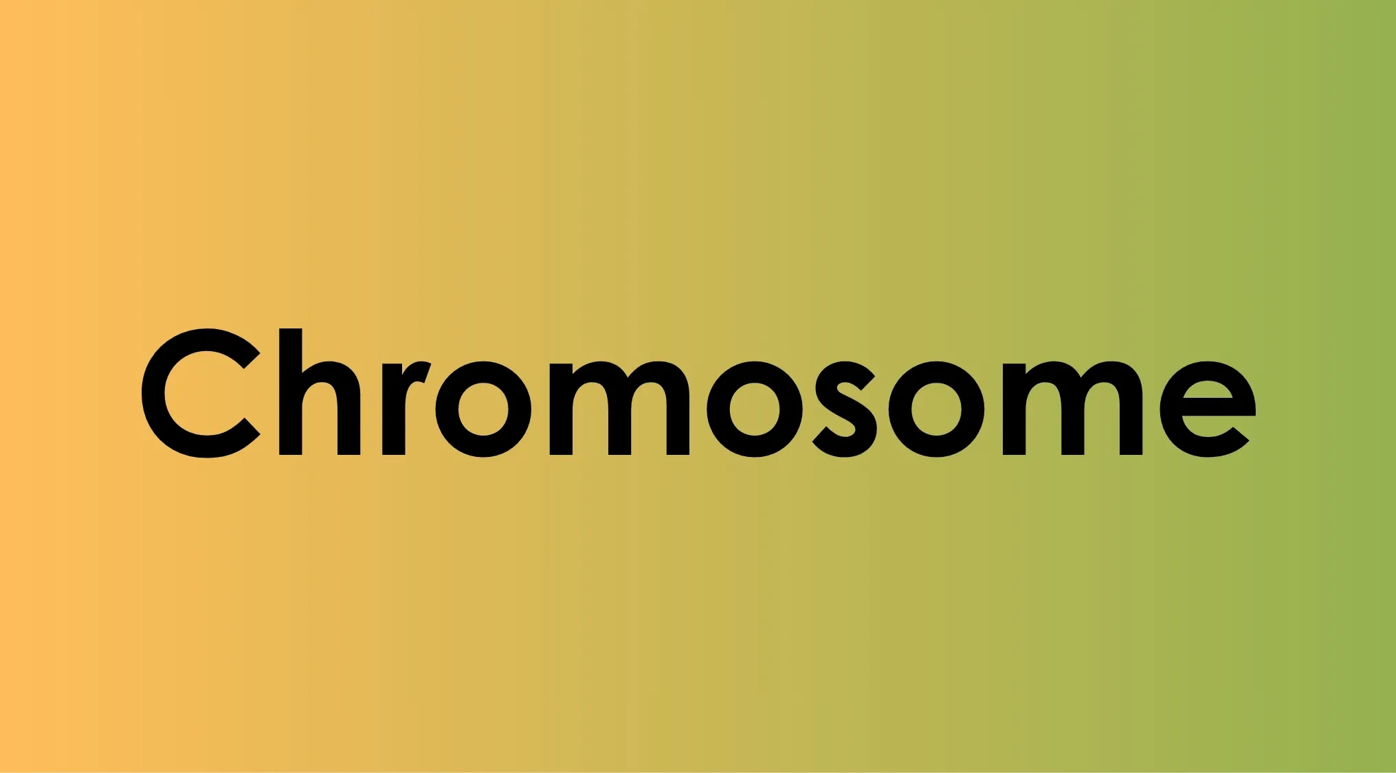 Chromosome text on a gradient background from orange to green representing biology vocabulary concept.