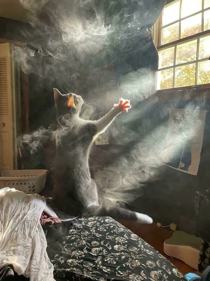 Summoning Demons