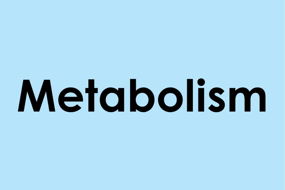 Metabolism text on blue background representing biological processes involved in water movement and cellular activity.