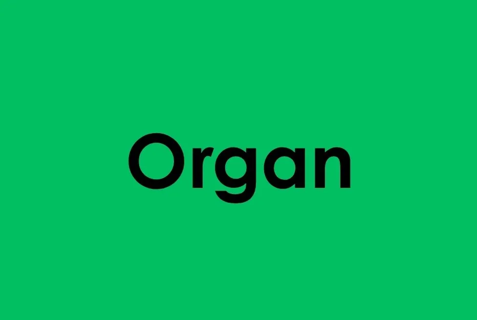 Bold black text reading Organ on a simple green background, highlighting the main SEO keyword organ.