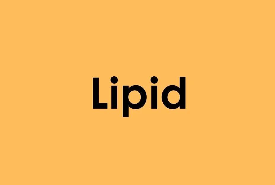 Lipid word in bold black font on a solid orange background representing cellular lipid energy release concept.