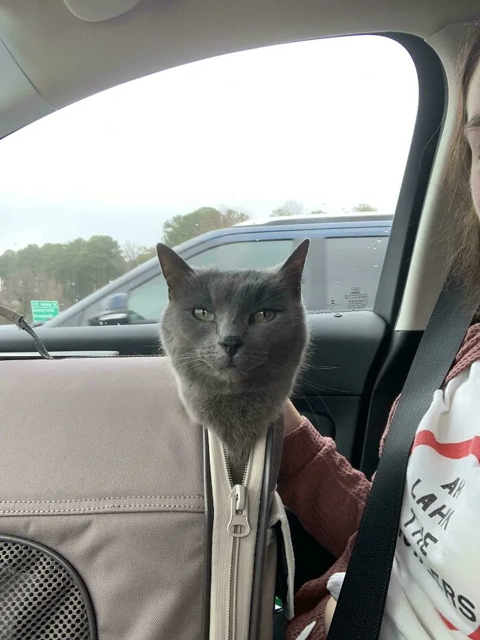 This Is Lil Bit, My Sassy Queen