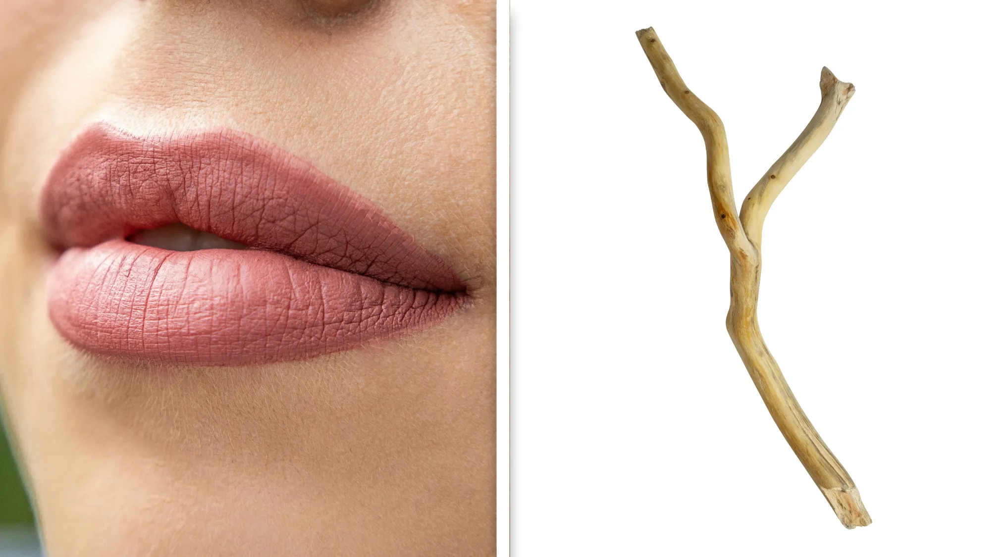Close-up of lips on the left and a forked stick on the right, a visual puzzle to guess the word from two images.