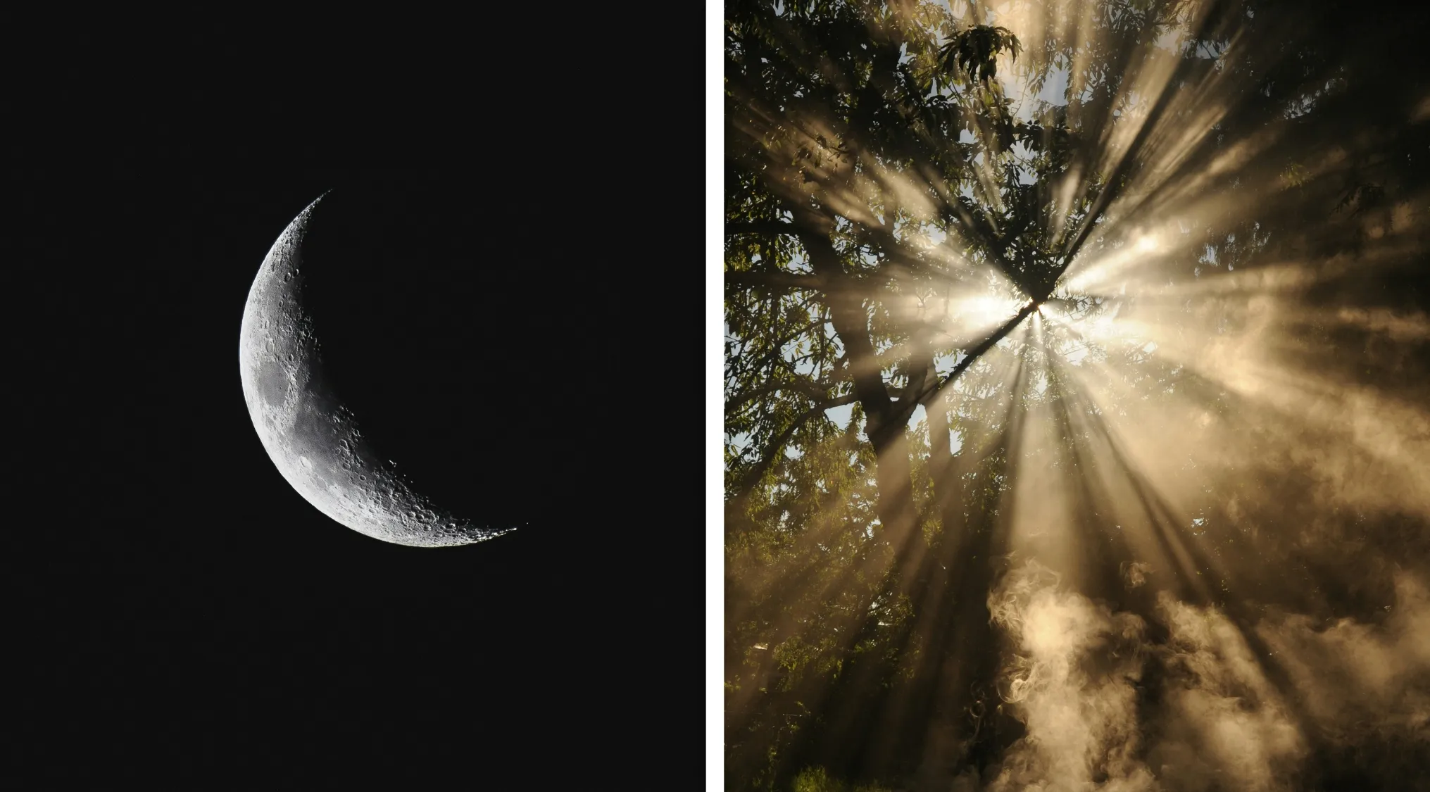 Crescent moon in dark sky paired with sunlight streaming through misty forest, guess the word from two images.