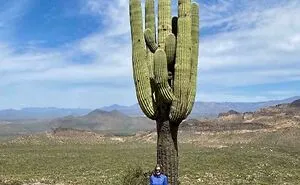 75 Images Of Insanely Huge Things To Awaken Some Hidden Fears In Us With Just Watching Them