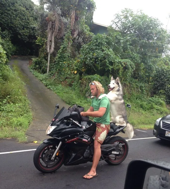 Mi mamá me envió esta foto desde Hawái.