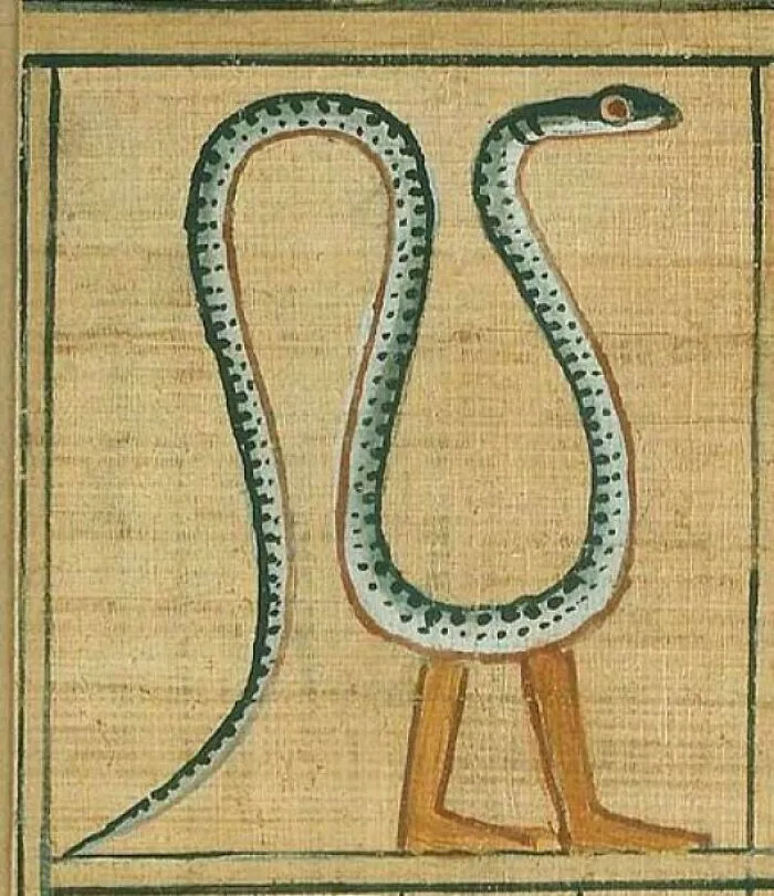 Here's A Snake With Legs To Brighten Up Your Monday