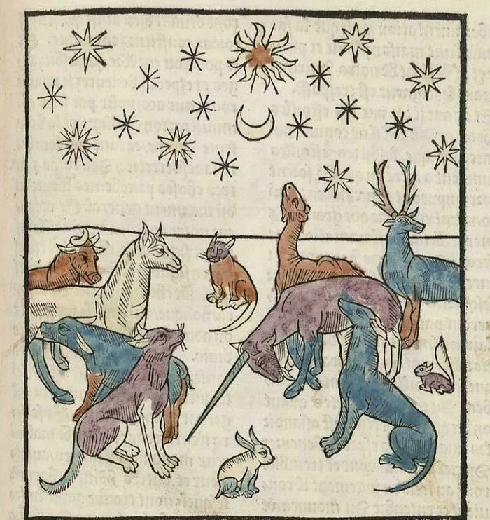 Medieval art illustration featuring cool and bizarre creatures under stars and a crescent moon in a whimsical scene.