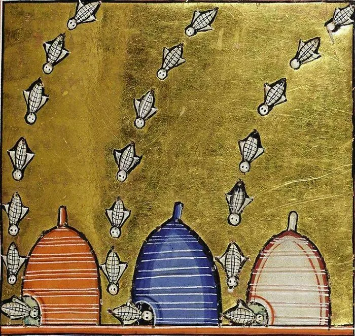 Medieval art featuring bizarre creatures resembling small flying owl-like beings around colorful rounded structures.