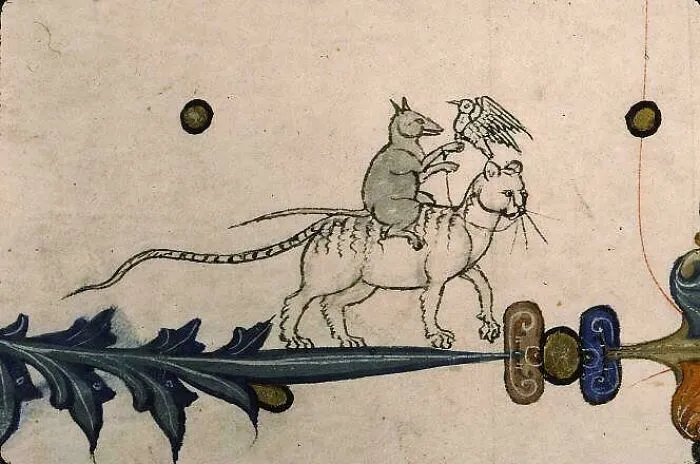 Well, You Can Tell By The Way I Hold My Hawk, I'm A Noble Rat No Time To Talk