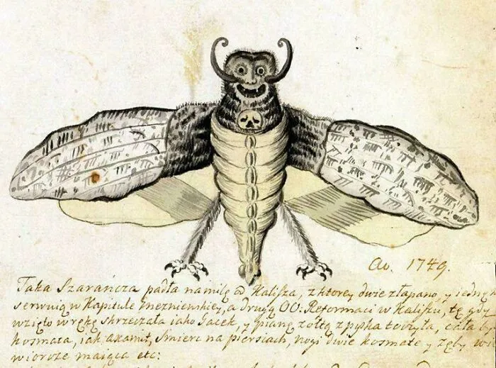 Medieval art depiction of a bizarre creature with insect wings and a humanoid face from a 1749 manuscript.