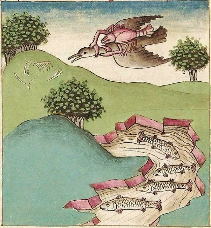 Medieval art showing a bizarre creature with a lobster body riding a bird above a fish-filled river and trees.
