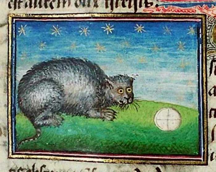 Medieval art depicting a bizarre creature with gray fur and wide eyes on green grass under a starry sky.