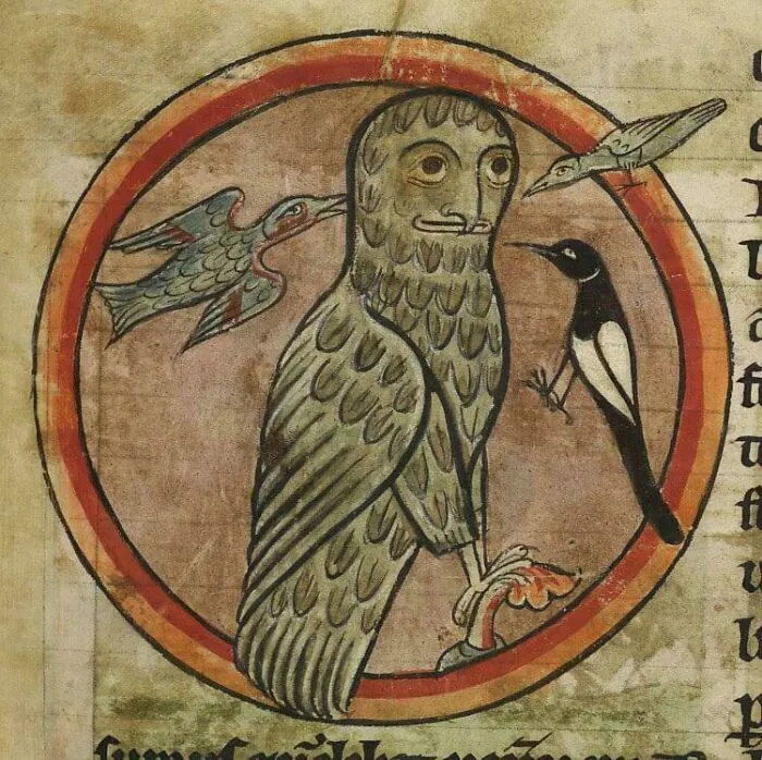 Medieval art depicting a bizarre creature with bird features surrounded by three smaller unusual birds in a circular frame.