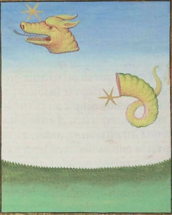 Medieval art showing cool and bizarre creatures, including a dragon head and a segmented serpent tail in a grassy landscape.